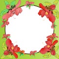 Frame with flowers in a circle.Camellia flower. Vector illustration. Perfumery and cosmetic plants. Wallpaper.